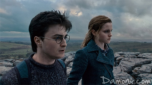 Critique Harry Potter et les Reliques de la Mort - 1ère Partie