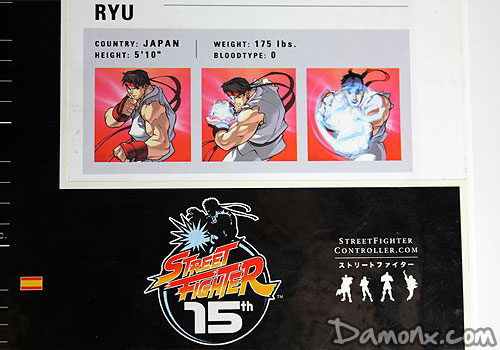 Manette (Ryu) Street Fighter 15th Anniversary